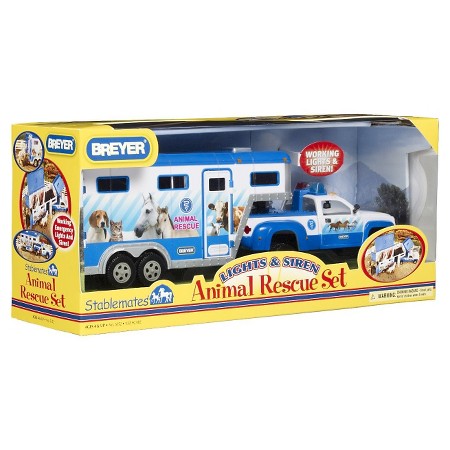 betta fish on leaf hammock