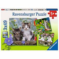 3 x 49 pc Tigers Kittens Puzzles