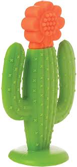 cactus teether