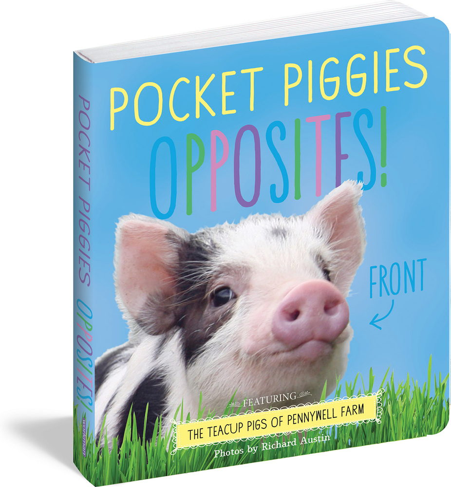 Pocket Piggies Numbers! Featuring the Teacup Pigs of Pennywell Farm