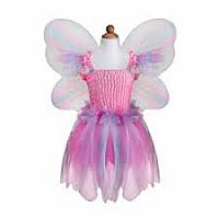 Butterfly Dress w/ Wings size 5-6