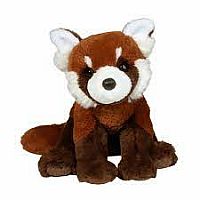 Kyrie Red Panda  