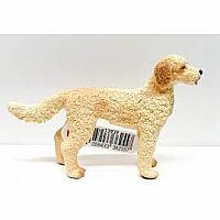 Goldendoodle  