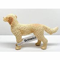 Goldendoodle  