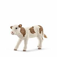 Simmental Calf  