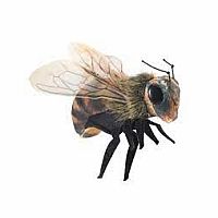 Mini Bee Finger Puppet 