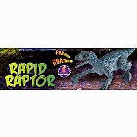 Rapid Raptor  