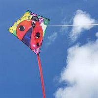 25" Diamond Ladybug Kite  