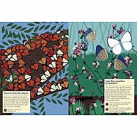 Butterflies of the World Sticker Activity 