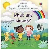 Lift the Flap Q and A  What Are Clouds 