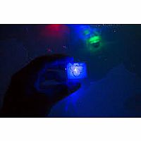 Glo Pals 4 pack Blair Blue