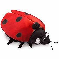 Ladybug Life Cycle Puppet 