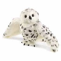 Little Snowy Owl