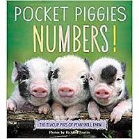 Pocket Piggies Numbers Book