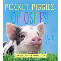 Pocket Piggies Opposites Book