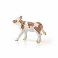 Simmental Calf  