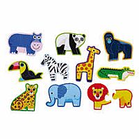 Let's Begin Jungle Puzzle